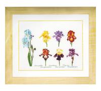 Thea Gouverneur Kit au point de croix compté "Iris Panel Evenweave", 47x36cm