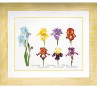 Thea Gouverneur Kit au point de croix compté "Iris Panel Evenweave", 47x36cm