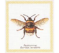 Thea Gouverneur Kit de broderie au point de croix "Hummel Blanc Aida", motif à compter, 20x21cm