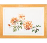 Thea Gouverneur Kit de broderie au point de croix "Nur Joey Zählstoff", 44x65cm
