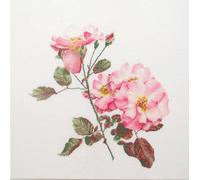Thea Gouverneur Kit de broderie au point de croix "Rosa Leersum Zählstoff", motif à compter, 44x44cm