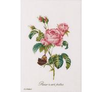 Thea Gouverneur Kit de broderie au point de croix "Rose Redouté", motif à compter, 26x38cm