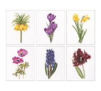 Thea Gouverneur Kit de broderie au point de croix "Six études de fleurs I Aida", motif à compter, 6x17cm
