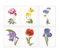 Thea Gouverneur Kit de broderie au point de croix "Six études de fleurs II Aida", motif à compter, 6x17cm