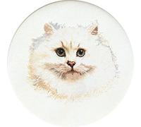 Thea Gouverneur - Kit de point de croix compté - Chat persan blanc - Lin - 32 Compter - Pour adultes - 1045
