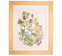 Thea Gouverneur - Kit de point de croix compté - Herbes - Aida - 18 Compter - Pour adultes - 424A