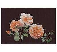 Thea Gouverneur - Kit de point de croix compté - Just Joey - Aida Noir - 18 Compter - Pour adultes - 414.05