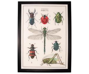 Thea Gouverneur - Kit de point de croix compté - L'histoire des insectes - Aida - 16 Compter - Pour adultes - 566A