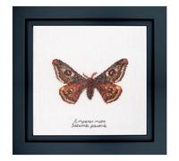 Thea Gouverneur - Kit de point de croix compté - Papillon Empereur - Aida - 16 Compter - Pour adultes - 562A