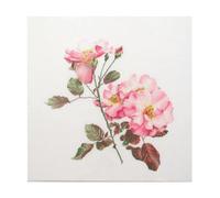 Thea Gouverneur - Kit de point de croix compté - Rosa Leersum - Aida - 18 Compter - Pour adultes - 412A