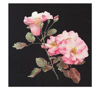 Thea Gouverneur - Kit de point de croix compté - Rosa Leersum - Aida Noir - 18 Compter - Pour adultes - 412.05