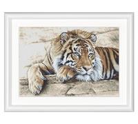 Thea Gouverneur - Kit de point de croix compté - Tigre - Aida - 14 Compter - Pour adultes - 579A