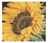 Thea Gouverneur - Kit de point de croix compté - Tournesol - Aida - 18 Compter - Pour adultes - 488A