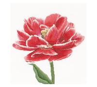 Thea Gouverneur - Kit de point de croix compté - Tulipe double précoce bordée de rouge/blanc - Lin - 32 Compter - Pour adultes - 520