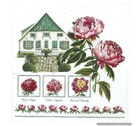 Thea Gouverneur Kit de point de croix, Multicolore, 58.5x60cm