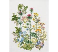 Thea Gouverneur Kit Point de Croix sur Lin Motif Herbes aromatiques Multicolore 35 x 45 cm