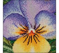 Thea Gouverneur Pansy Kit de Broderie au Point de Croix Motif Fleurs 10 x 10 cm