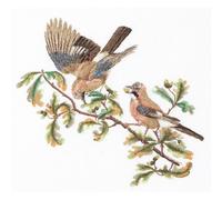 Thea Gouverneur zestaw do haftu krzyżykowego "Jays Aida", 50x56cm