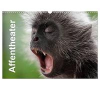 Théâtre des singes, Version française (Calendrier mural 2026 DIN A3 portrait), Calendrier CALVENDO mensuel