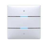 Theben 4969232 iON 102 KNX Capteur tactile avec 2 boutons et 2 LED d'état et capteur de température intégré I Commutation, gradation, store, capteur de valeur, contrôle des couleurs, etc.