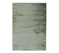 Thedecofactory Tapis Extra-Doux Effet Velours Vert Clair 120x170
