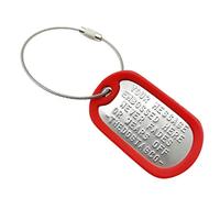 TheDogTagCo Lot d'étiquettes de bagage personnalisées en acier inoxydable plaqué nickel avec câble et silencieux Lire la description pour voir comment ajouter de la personnalisation, taille unique,