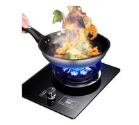 THEGA Gaziniere Gaz - Cuisiniere Gaz - Poele A Gaz, Cuisinière À Gaz De Camping Portable, Livrée avec Une Cuisinière À Gaz De Bureau Et D'installation Encastrée, GPL, NG (Size : PLG)