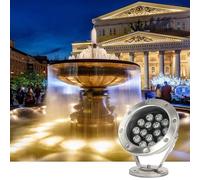 THEGA Lumières sous-Marines À LED pour Rocaille,lumières Colorées en Acier Inoxydable pour Fontaine De Piscine, Projecteurs sous-Marins 12V/24V(Red,9W-12V)