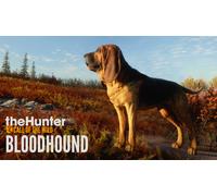 TheHunter: Call of the Wild - Bloodhound