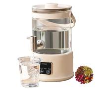Théière électrique, bouilloire multifonction 2,5 L, bouilloire électrique en verre et bouilloire à eau chaude en acier inoxydable, pour préparer du thé, du vin, de la soupe et des fruits