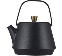 Théière en fonte Saga 1L2 induction