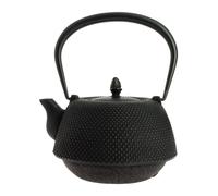 Théière fonte nanbu arare noire 1000 ml