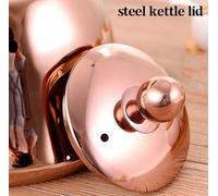 Théière sur La Cuisinière Théière sur La Cuisinière Bouilloire à Thé Sifflante avec Poignée Anti-brûlure pour Cuisinière à Gaz à Induction Bouilloire D’Eau Chaude, Silver, 5L