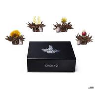 Thelini Tea Flower Gift Set in Magnetic Box u2013 Black Tea u2013 6 Flowers with 4 6 Unité (Lot de 1 COFFRET CADEAU POTEAU D'ARRET