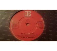 THEME FROM "GREATEST AMERICAN HERO" / LITTLE BIT OF US (45/7")