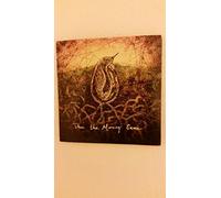 Then the Morning Came