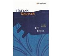 Theodor Fontane: Effi Briest Volk, Stefan (Auteur)