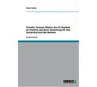Theodor Fontane: Motive des 29. Kapitels im Stechlin und deren Bedeutung fr den Gesamtkontext des Romans Scheel, Reiner (Auteur)