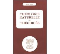 Theologie naturelle ou theodicee - Michel Grison - Beauchesne - broché - Etude