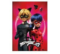 Theonoi Couverture douillette en microfibre polaire pour enfant - Couverture polaire douillette et douce - Cadeau (Ladybug)