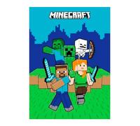 Theonoi Couverture douillette en microfibre pour enfant - Couverture polaire douce - Cadeau pour Minecraft (vert)