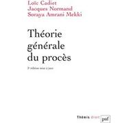 Théorie générale du procès