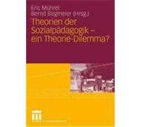 Theorien der Sozialpädagogik - ein Theorie-Dilemma?