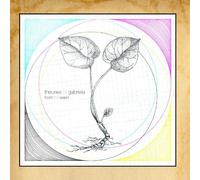 Theories Of Gabriela - From The Seed