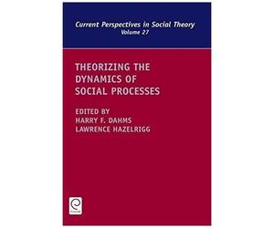 Theorizing The Dynamics Of Social Processes