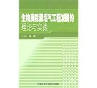 Theory and Practice of Biomass Methane Projects Development (Chinese Edition)