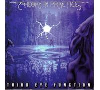 Theory in Practice - Third Eye Function [Import]
