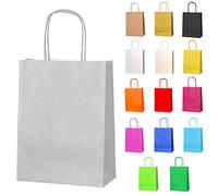 Thepaperbagstore 50 Sacs à Papier Argent avec Poignées - Sacs Cadeaux en Papier Colorés pour Fêtes d'Enfants et d'Adultes, Anniversaires, Enterrements de Vie de Jeune Fille et Bonbons 18x22x8cm