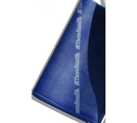 Thera-Band Caoutchouc de renforcement 12,5 cm x 2 m, Bleu - extra épais