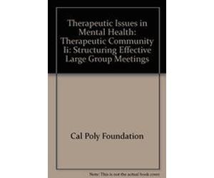 Therapeutic Issues in Mental Health: Therapeutic Community Ii: Structuring Effective Large Group Meetings